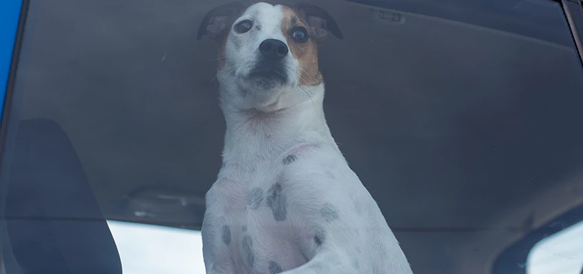 Car Lockout Solutions in Firebaugh, California